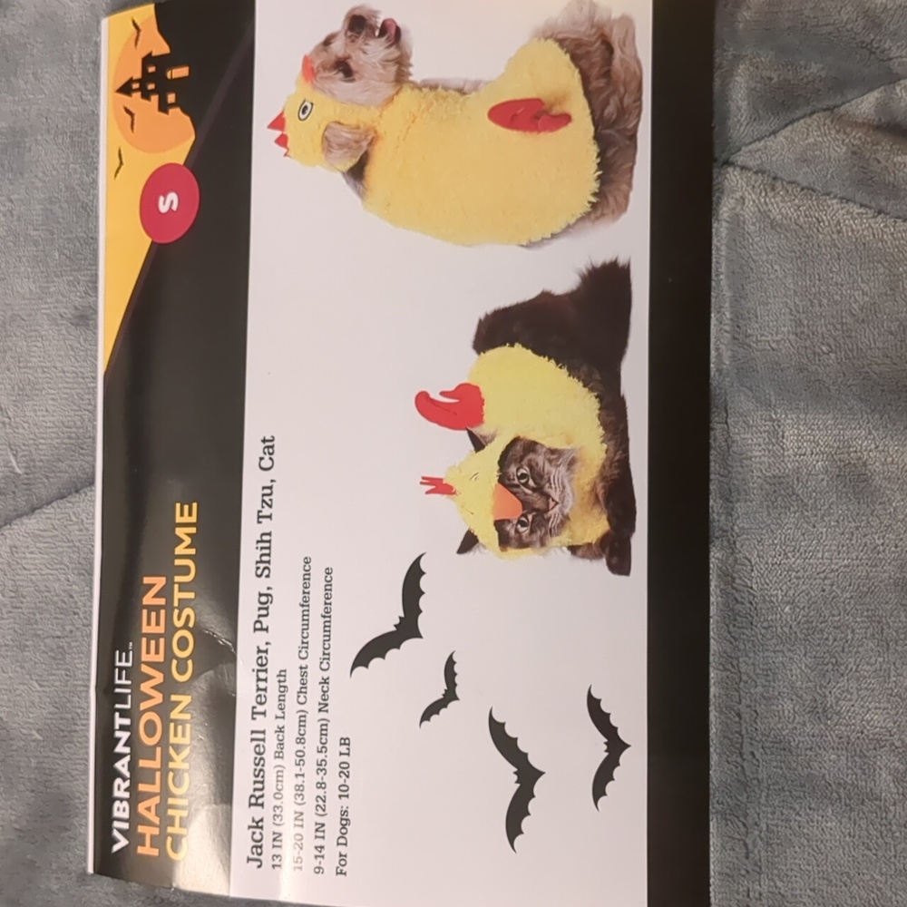 Pet Halloween Chicken costume - Picture 1 of 3